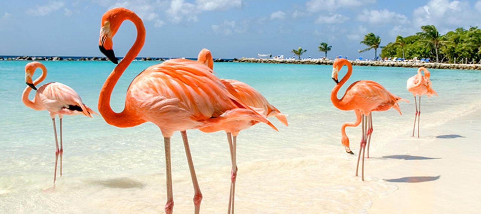 Sanfter Tourismus wird hier gelebt